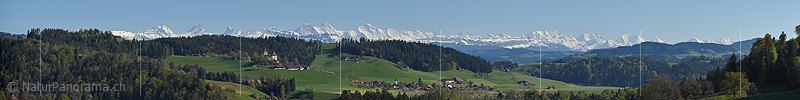 Panorama with the Alps and a castle from Emmental