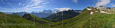 Panorama photo Green mountain landscape in the Jungfrau region