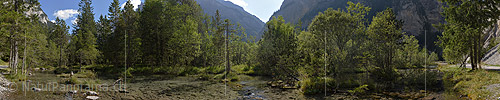 Panorama photo Forest source in floodplain forest