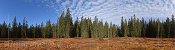 High resolution panoramic photo Flat clearing in the mountain forest