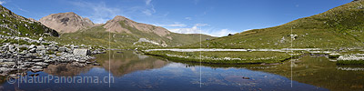 Panoramic photo Quietly flowing mountain stream and wool grass in natural landscape