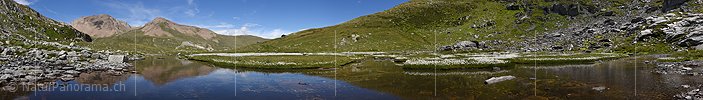 P020243c: Panoramafoto Ruhig fliessender Bergbach und Wollgras in Naturlandschaft