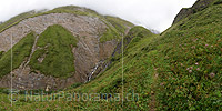 Very large picture of a wild, narrow and green mountain valley
