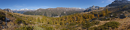P020676: Grosses Panoramafoto Goldgelb gefärbter Lärchenwald in Berglandschaft