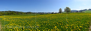 Large panorama photo Colourful spring landscape in the Emmental valley