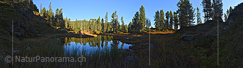 Panoramafoto Waldsee / Moorsee
