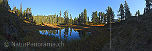 Panoramafoto Waldsee / Moorsee