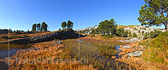 Panoramic photo of a raised bog in an unspoilt landscape