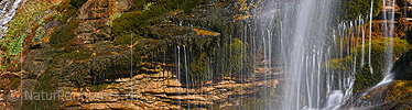 Panorama photo water and moss