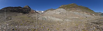 Panoramafoto Griesgletscher (Vorfeld und Gletscherzunge, Stand 8.2020)