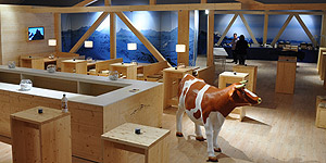 NaturPanorama.ch: Alpenpanorama um Event