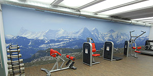 NaturPanorama.ch: Fitnessraum