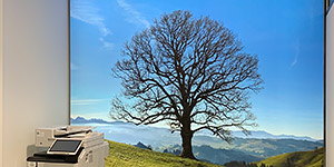 NaturPanorama.ch: Hinterleuchtetes Wandbild in Besprechungszimmer