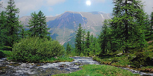 NaturPanorama.ch: Panoramafoto-Küchenrückwand aus Glas