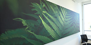 NaturPanorama.ch: Panoramafoto in Besprechungszimmer