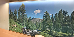 NaturPanorama.ch: Wandbild in Besprechungszimmer