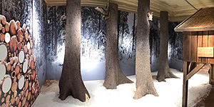 Ausstellung "Drei Haselnüsse für Aschenbrödel" im Schloss Moritzburg