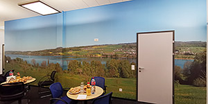 NaturPanorama.ch: Wandbild in Aufenthaltsraum