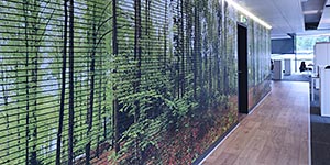 NaturPanorama.ch: ShowRoom Swiss Krono AG