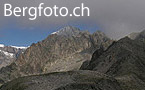 SwissNature.org: Natur und Biodiversität in der Schweiz.